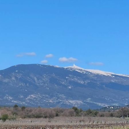 Mon Ventoux Villa Modene Eksteriør bilde